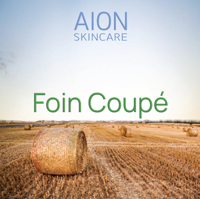 Aion Skincare Alcohol Free Aftershave Splash - Foin Coupé